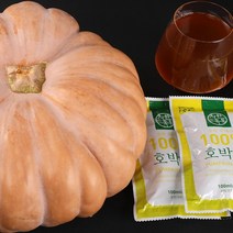 착한톡톡 늙은 호박즙 100ml 30포