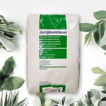 더제일식품 글루코노델타락톤 GDL 25kg 프랑스, 1개