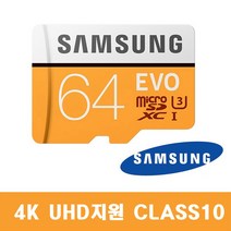삼성전자 지넷시스템 드림아이 오토바이블랙박스G-STYX BIKE 외장메모리카드 64G EVO, 64GB