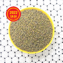 해독 해열에 좋은 구수한 국산 통녹두 1kg, 1개