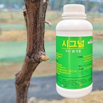 아상없는 가지발생제 가지촉진제 사과 잎눈 과수 곁가지 측지발생 시그널 1L