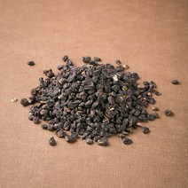 블리스마트 국산 오가피열매 100g, 1개