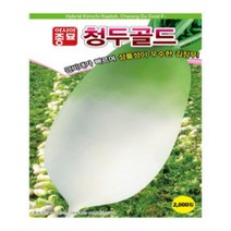 아시아종묘 무씨앗 청두무 (2000립), 1개