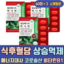 식후 혈당 상승억제 에너지 대사 코로솔산 비타민B1 난소화성말토덱스트린 모과 당귀 차