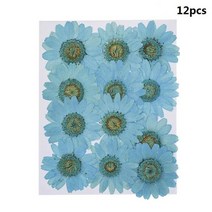 프리저브드플라워 천연 데이지 보존 건조 꽃 압축 말린 네일 아트 장식 DIY 스티커 매니큐어 액세서리 1 봉지 12 개, [01] blue