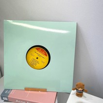 (5color)LP하드케이스 5장/10장, 10장, 하늘