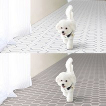 펫노리터 애견매트 고양이 강아지 미끄럼방지매트 논슬립 PVC매트 1m, 내 마음속에 저장