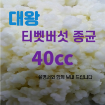 티벳버섯종균 유산균종균 수제요거트종균 발효유종균 캐비어종균, 40cc