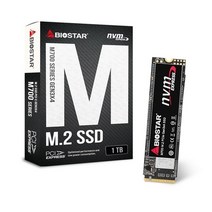 Biostar M700 M.2 2280 (1TB), 상세페이지 참조, 상세페이지 참조