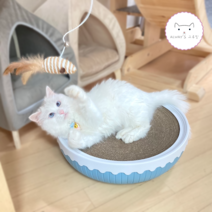 고양이 원형 스크래쳐 빅소파 골판지 벅벅 초대형 캣모나이트 냥모나이트 마약박스 종이방석, 옐로우 단품