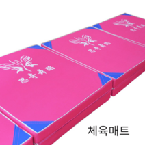 튼튼한 체육매트 고경도 스포츠 태권도 착지 운동, 옥스포드원단 180*60*10cm(메모컬러)