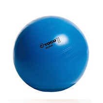 토구 마이볼 짐볼 55CM 블루 - 가벼운짐볼