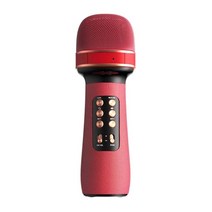 가정용 코인노래방 기계 휴대용 길거리공연 찬양 반주기 부스 ws-898 블루투스 핸드헬드 마이크 무선 노래방 더블 스피커 콘덴서 마이크 플레이어 노래 ios android tv, 주황색