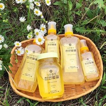 말뚝 천연 아카시아꿀 100% 자연산 국산 토종꿀 꿀선물세트 꿀답례품, 1개, 500g