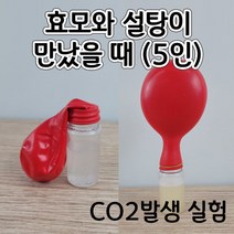 오피스안 효모와설탕이만났을때(5인)