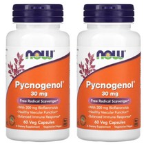 나우푸드 피크노 제놀 30mg 60캡슐 2병 고약사 호팍사 해송 프렌치 마리타임 파인바크, 2개