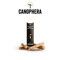 카노페헤라 커피나무 우드스틱 도그우드 반려견 대형견 강아지 이갈이 장난감, M