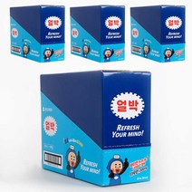 동아제약 얼박 얼음에 타먹는 박카스 40개입 210ml, 얼음 박카스 4박스 (40개입)