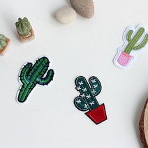 북유럽 선인장 자수 와펜 6p set