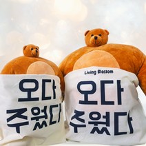 소두곰 인형 곰동석 ty베어 헬스곰돌이 어깨깡패 웃긴 쓸데없는 선물, 47cm