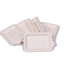 사탕수수펄프 과학수업 종이접시 10개 과학실험실 연구용 관찰용, 직사각 105mmX140mm
