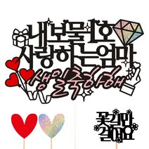 비비드레인 생신 케이크토퍼, 20-내보물1호(엄마)+픽3개