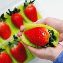 논산 킹스베리 딸기 생딸기 350g 700g, 킹스베리 700g