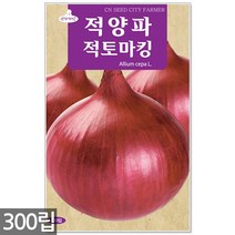 서리태 씨앗 30g - 콩 씨 청약콩 검은콩 쥐눈이콩 서리태씨앗 콩 검정콩씨앗 검은콩씨앗 콩씨앗 서리태씨 검은콩씨 주말농장 텃밭, 14_적양파적토마킹(300립)