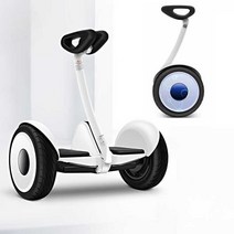 외발바퀴단일휠, 상세 페이지 참고, 블랙11인치+다리조절36V