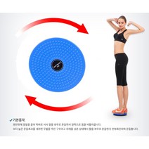 (니양몰) 15분 홈트 발바닥 지압 미끄럼방지 튼튼한 재질 잘록한 허리 지압효과 트위시트 허리 복부 운동기구, 블루