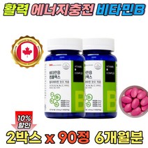 비타민b1 하루 피로 영양제 비타민 b군 b12 고농축 멀티 VITAMINB12 피리독신 판토텐산 6개월분 비타민b50 여성 남성 청소년 bcomplex niacin 캐나다
