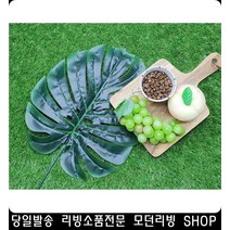 34평아파트인테리어 조화소품 나뭇잎모양 천소재 셀프촬영소품 인테리어장식
