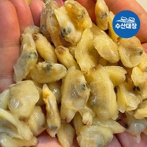 국내가공 세척 해감완료 자숙 바지락살 400g 냉동바지락 깐바지락살, 1개, 자숙바지락살 400g