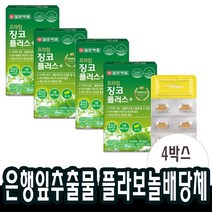 징코 기억력 혈액 순환 개선 은행잎추출물 두뇌 영양제 약4개월(4박스)