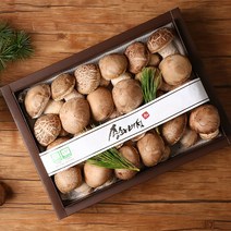 무농약 송화버섯 1kg, 1개, 1kg(선물세트)