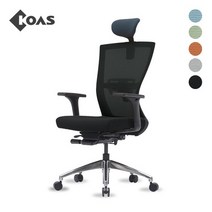 [코아스]브리오 메쉬의자 헤드포함 (블랙) OSCH1108HAA, 등판 그린+좌방석 인조가죽