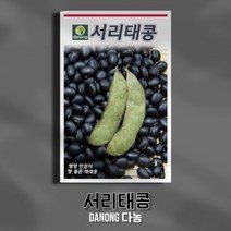 다농 서리태콩 50g 콩씨앗 텃밭 채소 종자 파종