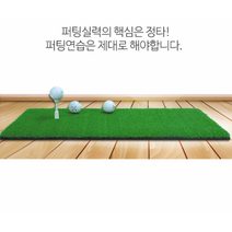인조잔디 골프퍼팅 연습매트 퍼터 스윙매트 실내용, 인조잔디30x60