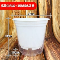 마카롱 안스리움 와로쿠아넘 몬스테라알보 다육이 저면관수 화분 무청 엽록소 화분 33, 플라스틱, 하이화이트 내측 세면대 만수저수지 10sets, 중간면 로프 보내기