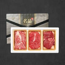 프리미엄 국내산 소고기 선물세트 5호, 단품