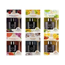 불스원 프리미엄 그라스 차량용 디퓨저 105ml 6종 중 택1, 허니레몬, 1개