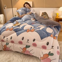 양털 캐시미어 이불 따뜻한 두꺼운 겨울 밍크담요, a