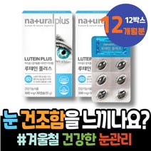 눈통증 키즈 노안 눈좋아지는법 LUTEIN 임산부종합영양제 눈건강 눈건조증 남성 소아 5세 출산축하선물 포우먼 눈이침침할때 금잔화꽃 루테인효능 눈이뻑뻑 눈이물감 황반변성