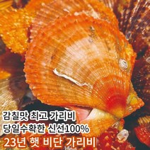 [당일아침조업] 마미템 생물 세척 홍 비단 가리비 2kg 3kg 5kg 10kg, 비단가리비 3kg (강력추천)