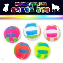 치석제거 장난감 형광공 애견 5개 애견공 장난감공