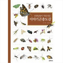 이야기 곤충도감 + 미니수첩 제공