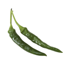 야채왕 풋고추 500g, 1개