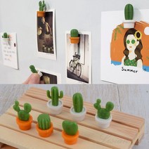 리시안제이 미니 선인장 자석 6P 자석홀더 사진자석, 화이트