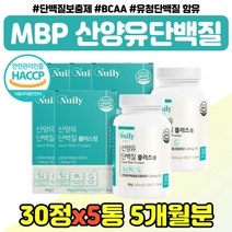 네덜란드 산양유 우유 단백질 시니어 할머니 선물 식약처인증 수입 프로틴 엠비피 BCA 정 어르신 여성 WPI 보충제 산양 단백 분말 어른 분유 30대 40대 남성 장모님 장인어른, 산양유단백질 정제 x5통