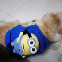 강아지 캐릭터 산책 가방 백팩 대형견 중형견 간식가방, H개